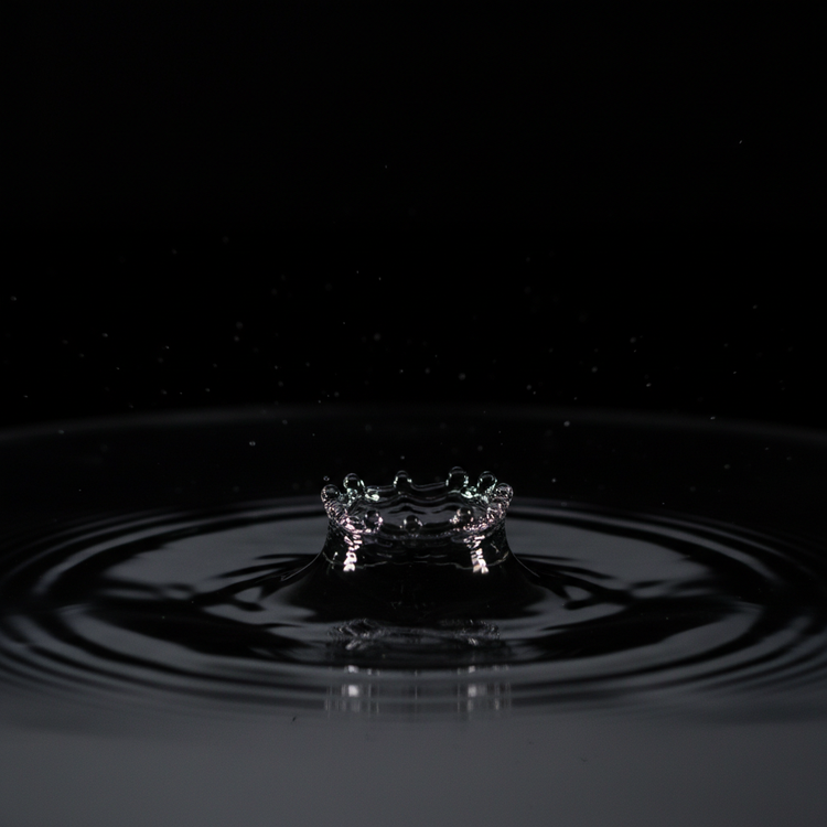 Sensorineural Deafness: A Guide to Adaptation with Hearing Aids and Cochlear Implants