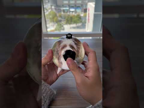 Load and play video in Gallery viewer, BOUNCE Sounds Detector
